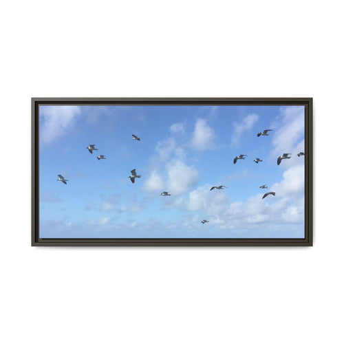 Framed Canvas Print — Gulls Flying Over Sky
