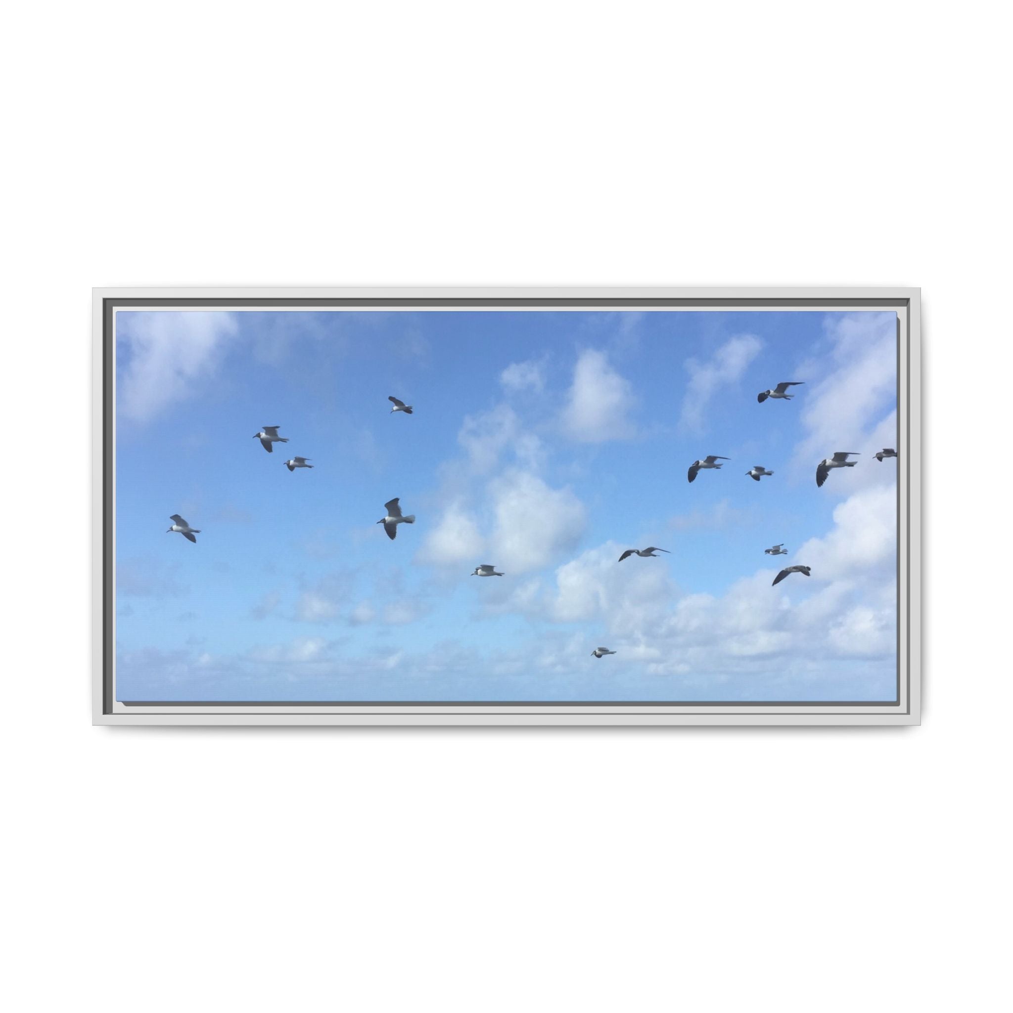 Framed Canvas Print — Gulls Flying Over Sky