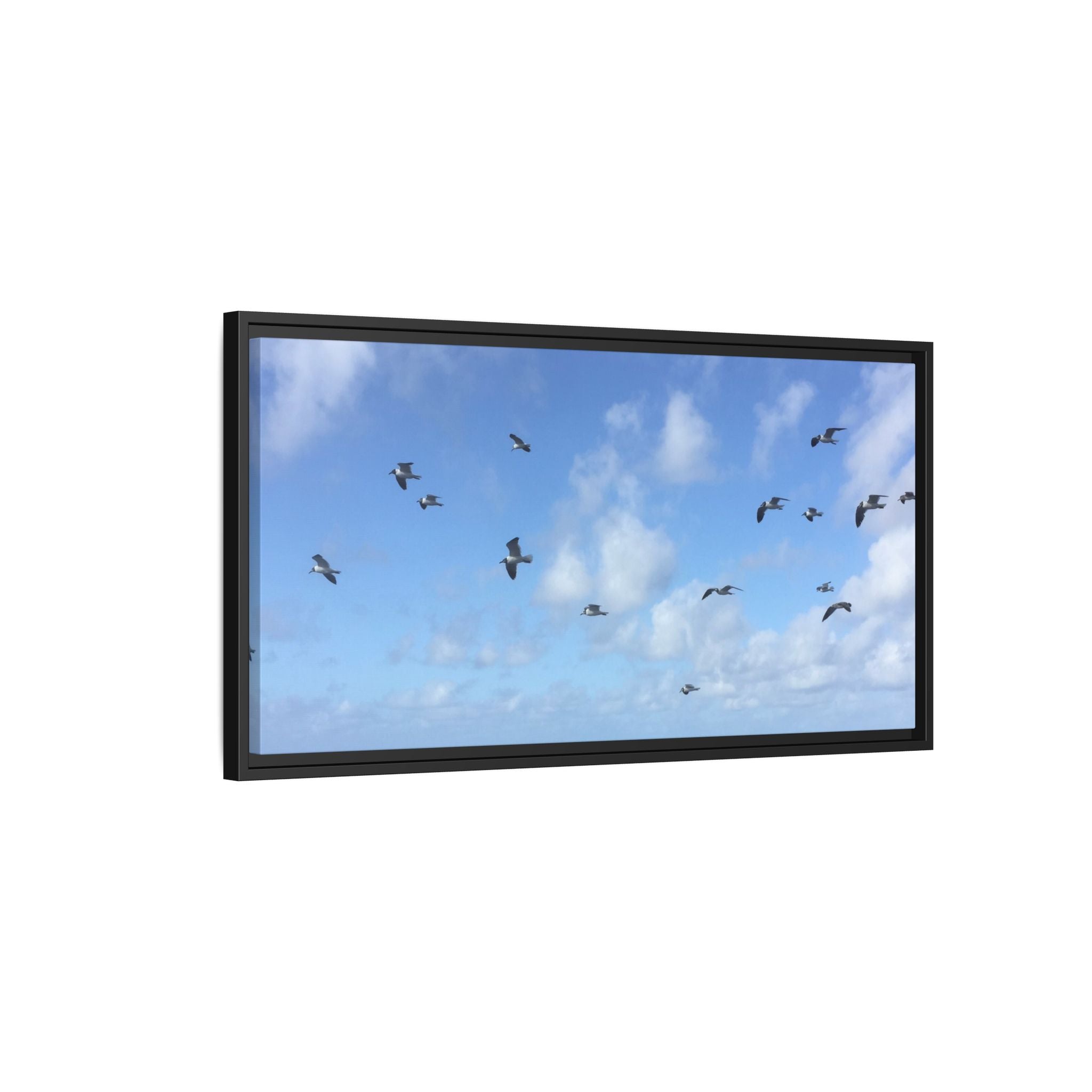 Framed Canvas Print — Gulls Flying Over Sky